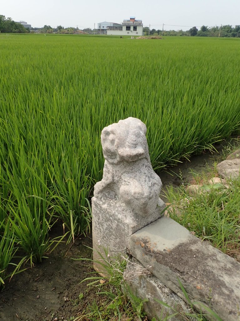 P4151690.JPG - 嘉義海口寮  承德郎  張仕祚墓