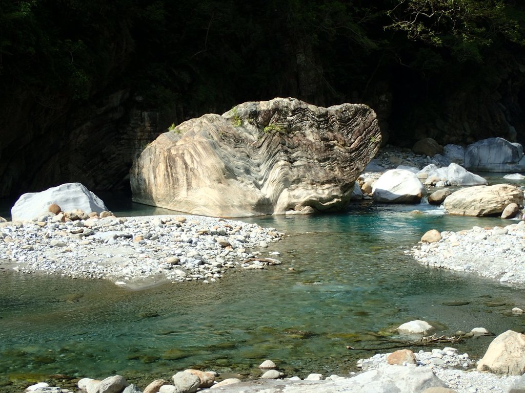 P8120301.JPG - 花蓮  秀林  砂卡噹步道