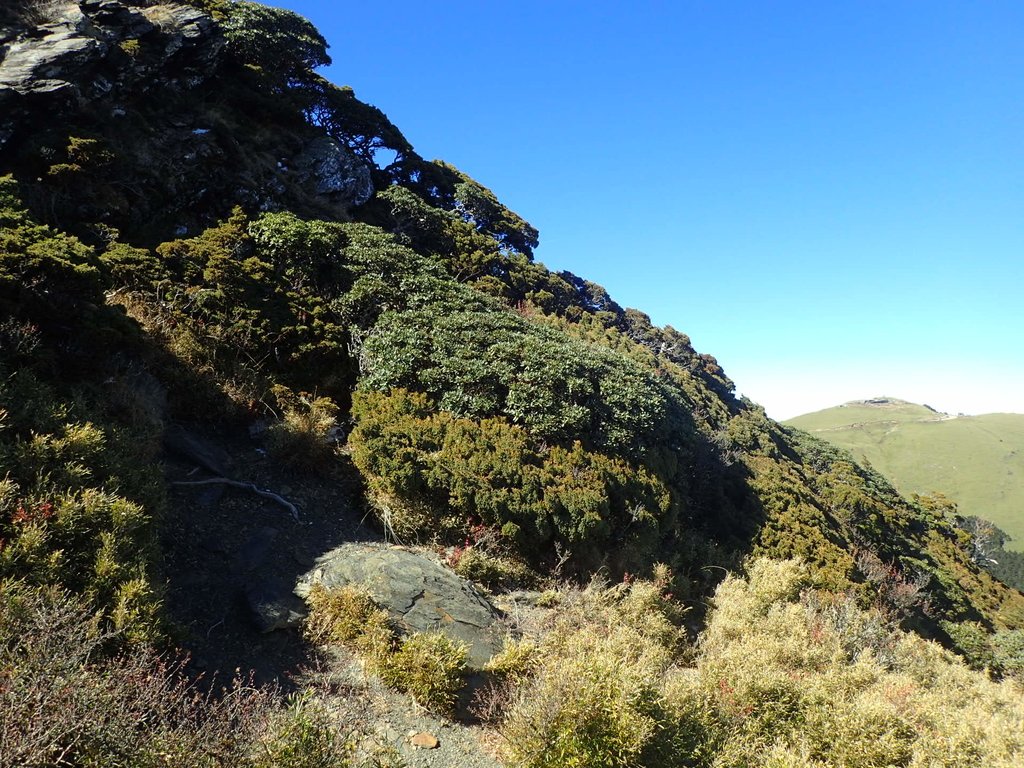 PC132127.JPG - 合歡山  東峰