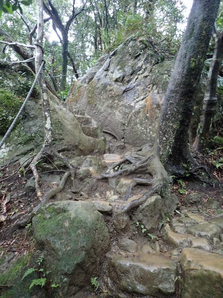 P1062050.JPG - 土城  天上山  登山步道