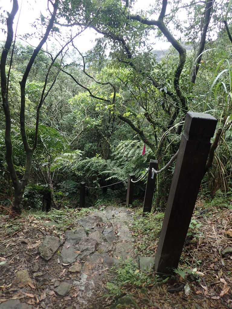 P1274357.JPG - 瑞芳  燦光寮古道初探