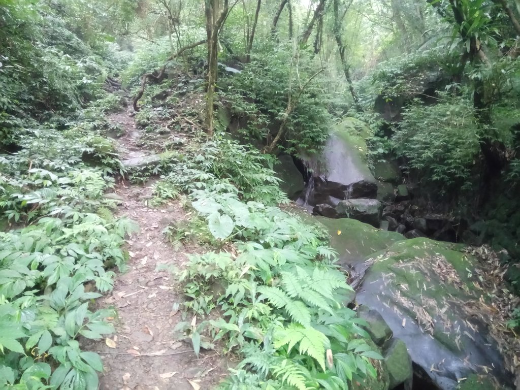 DSC_6226.JPG - 三峽  白雞山登山步道