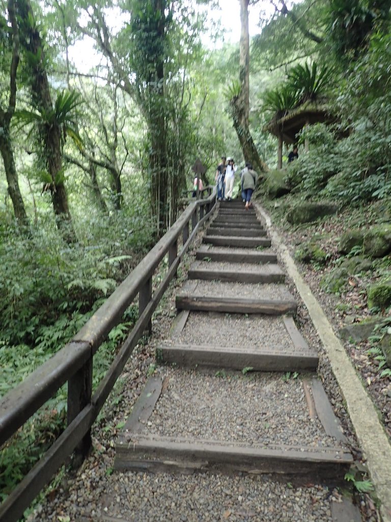 P3028996.JPG - 三峽  滿月圓森林遊樂區