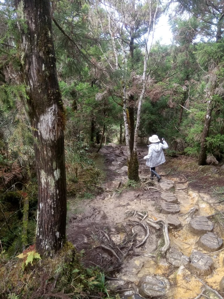 DSC_0083.JPG - 太平山  翠峰湖環山步道  01