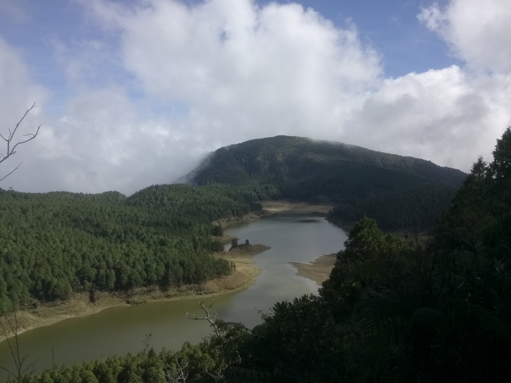 DSC_0117.JPG - 太平山  翠峰湖環山步道  01