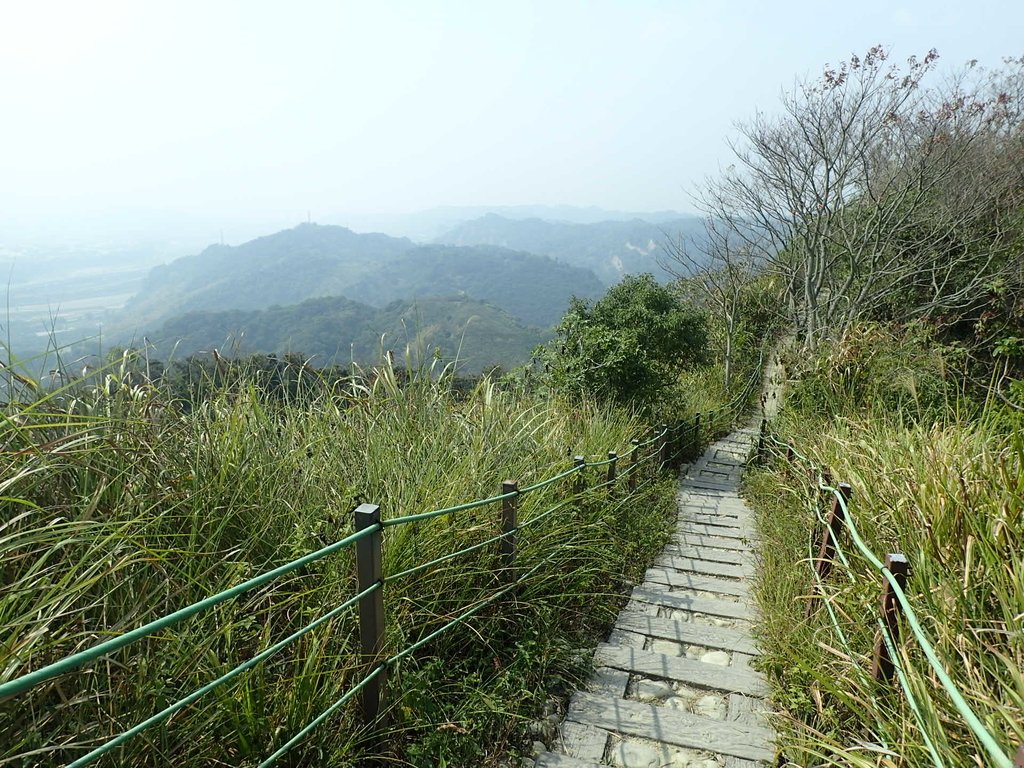 P3016095.JPG - 草屯平林  九九峰森林步道