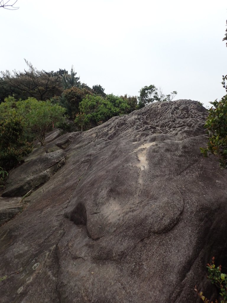 P3160058.JPG - 汐止  柯子林山  如意湖