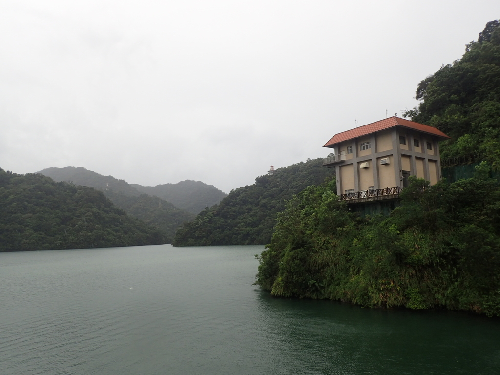 P8247020.JPG - 雨中漫遊  石門水庫