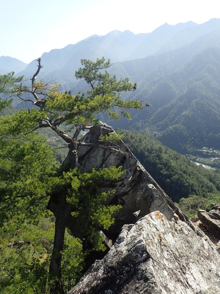 P3167238.JPG - 谷關  東卯山東南稜