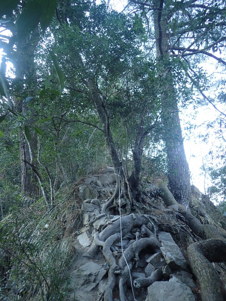 P2275853.JPG - 谷關七雄之  唐麻丹山