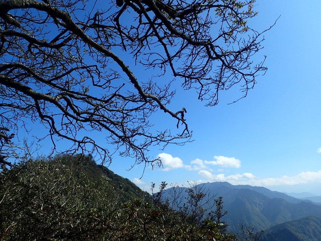 P2034810.JPG - 南庄  加里山