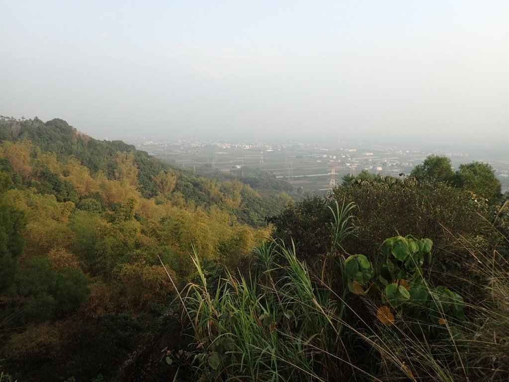 P3016160.JPG - 小百岳  橫山觀日步道