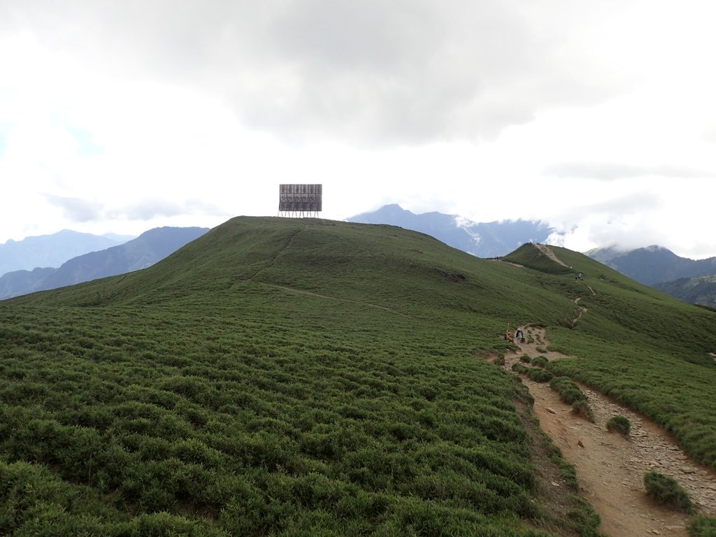 P7245980.JPG - 合歡山  北峰之美  (中)