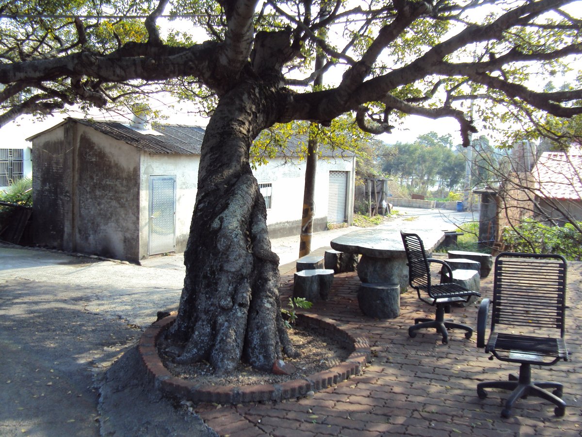 DSC06685.JPG - 新豐  鳳坑村  姜厝聚落