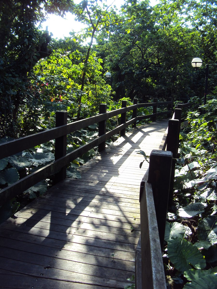 DSC01591.JPG - 小觀音山生態步道