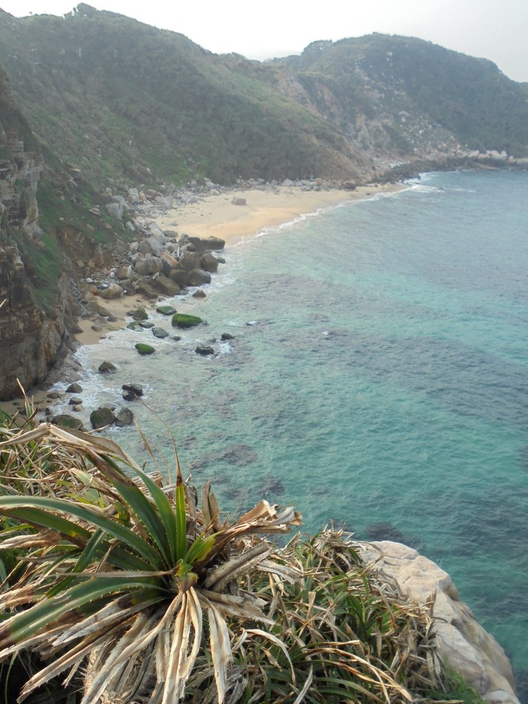 DSC01722.JPG - 金山  獅頭山  神秘海岸