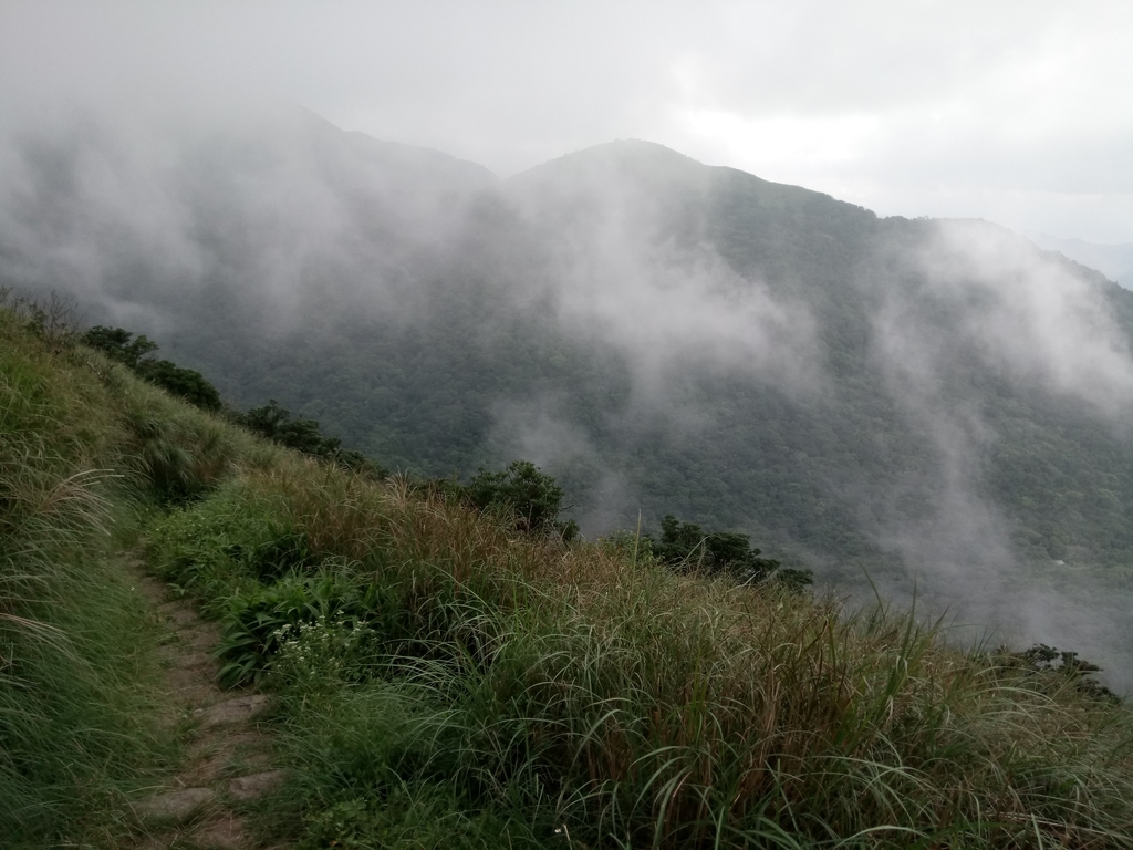 DSC_6924.JPG - 北投  面天山  向天湖步道