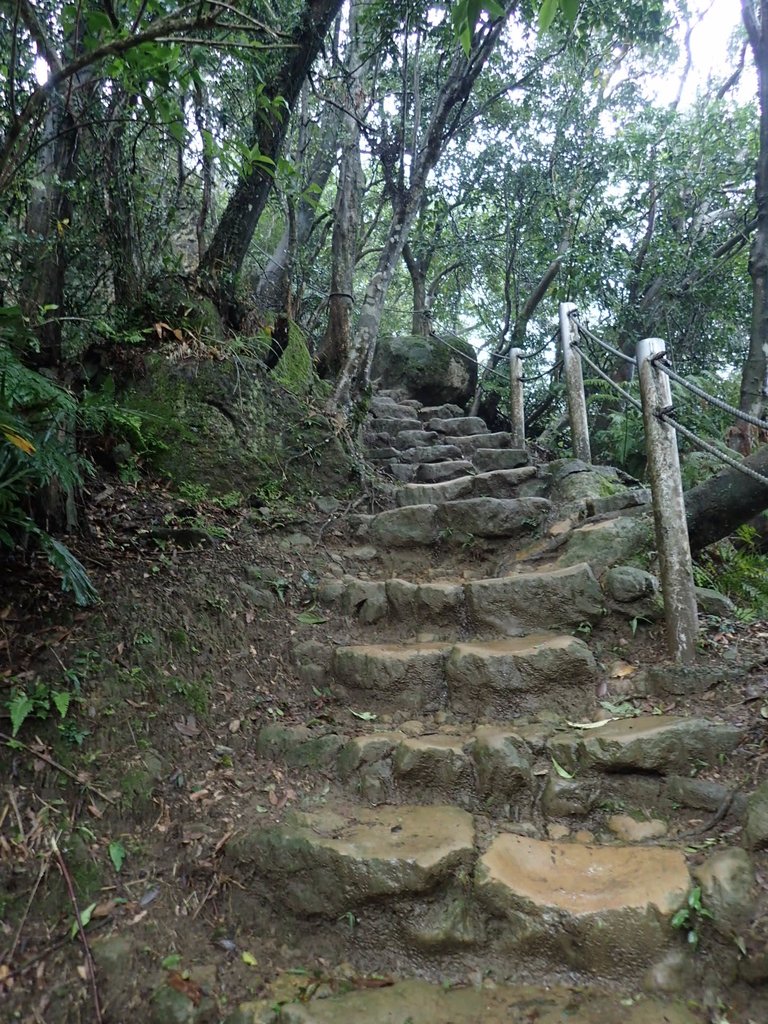 P1062052.JPG - 土城  天上山  登山步道