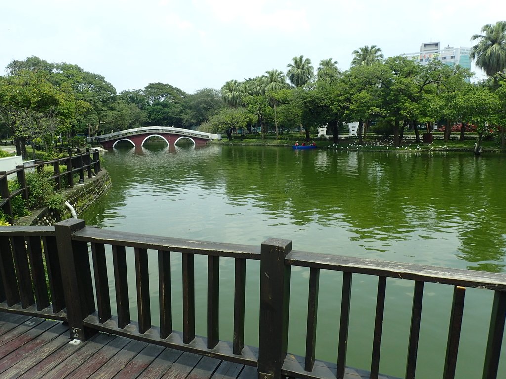 P4225075.JPG - 散步  台中公園一隅