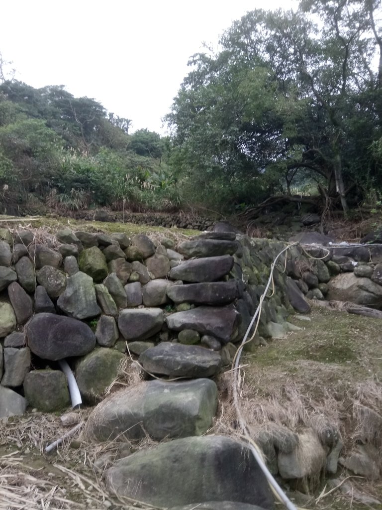 DSC_3353.JPG - 金山  大路崁古道