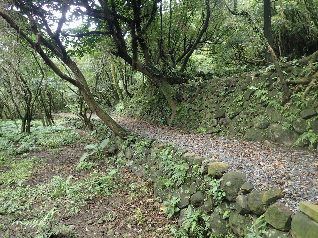 P1274444.JPG - 瑞芳  燦光寮古道初探