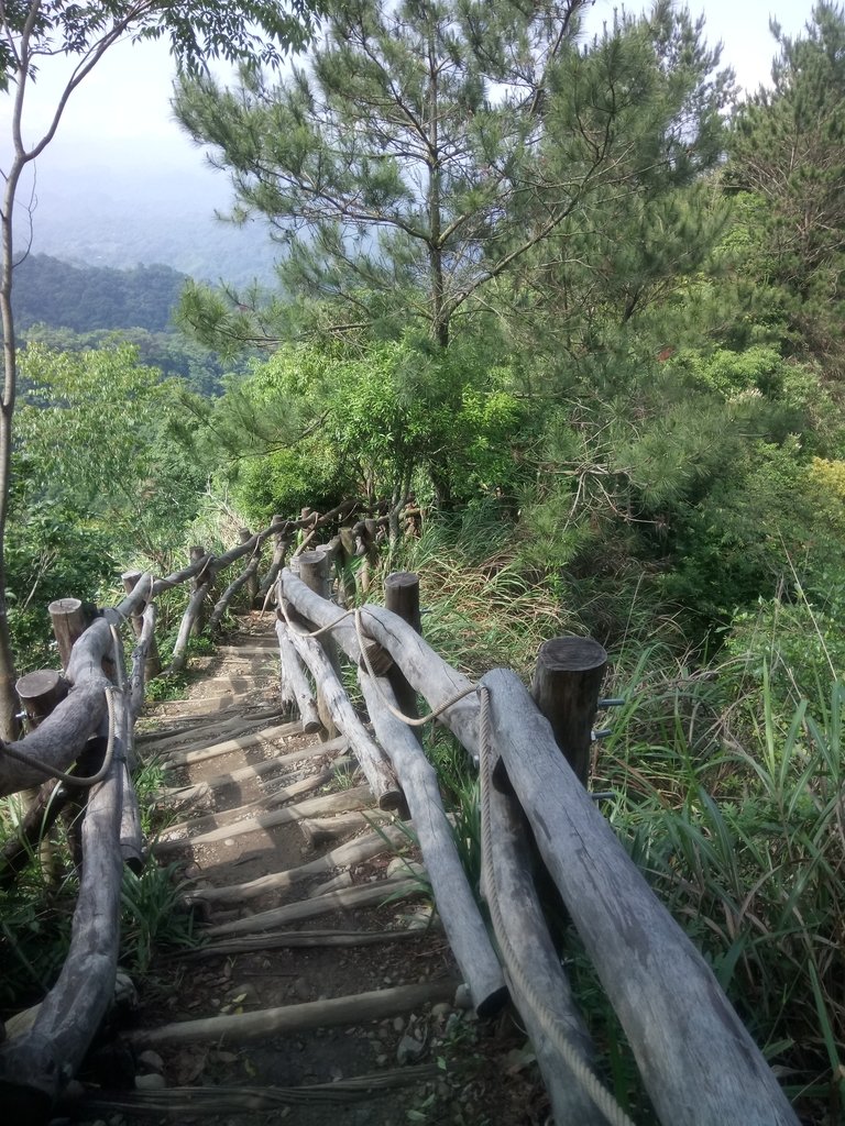 DSC_1258.JPG - 大坑四號步道  頭嵙山