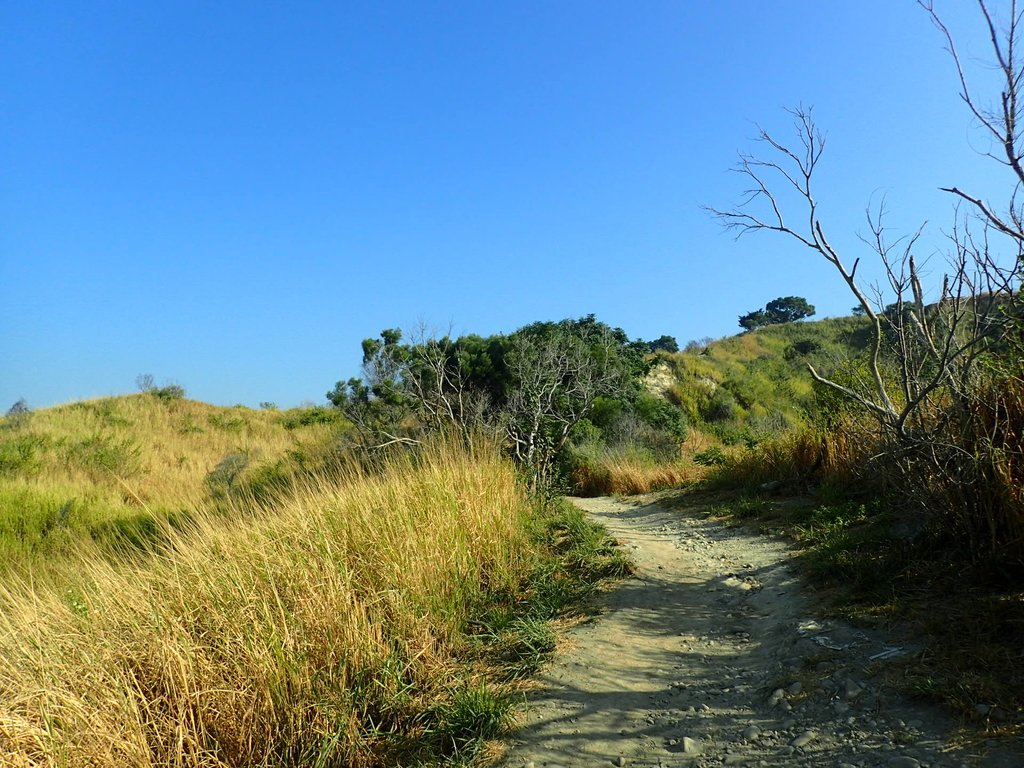 PA282006.JPG - 烏日  學田山登山步道