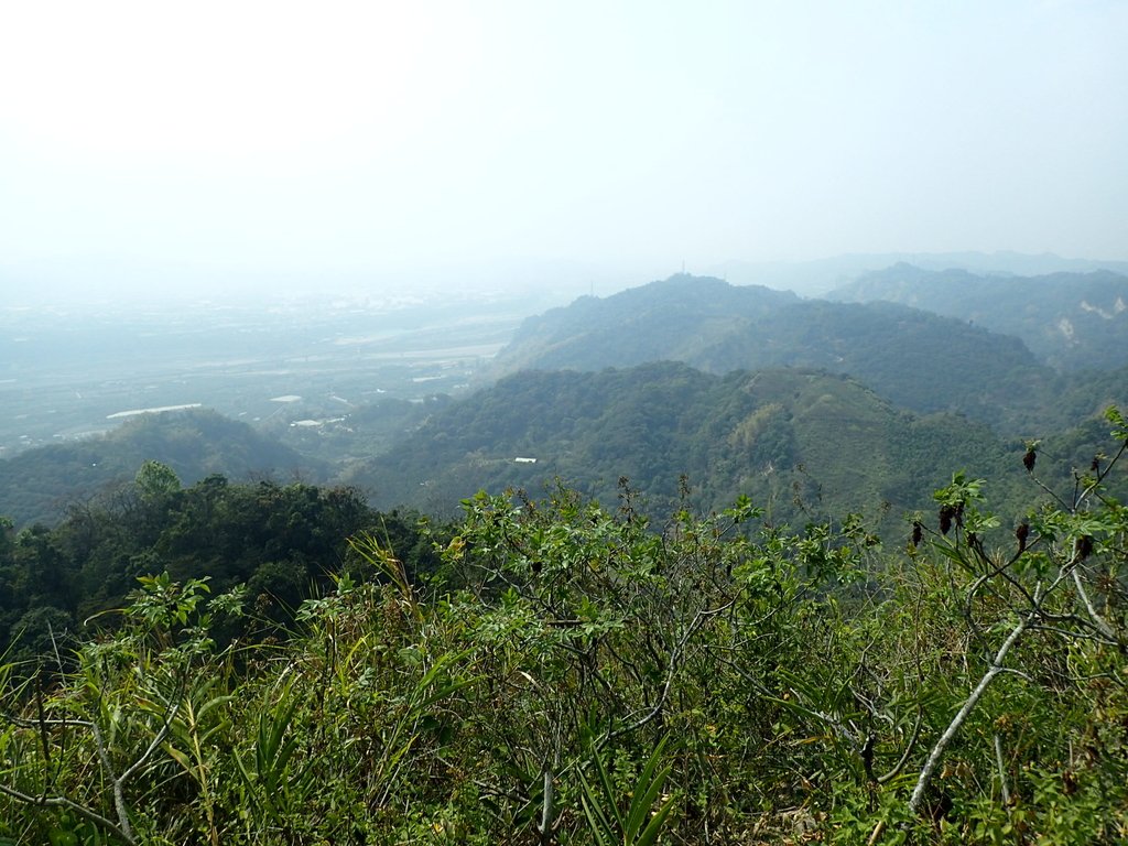 P3016099.JPG - 草屯平林  九九峰森林步道