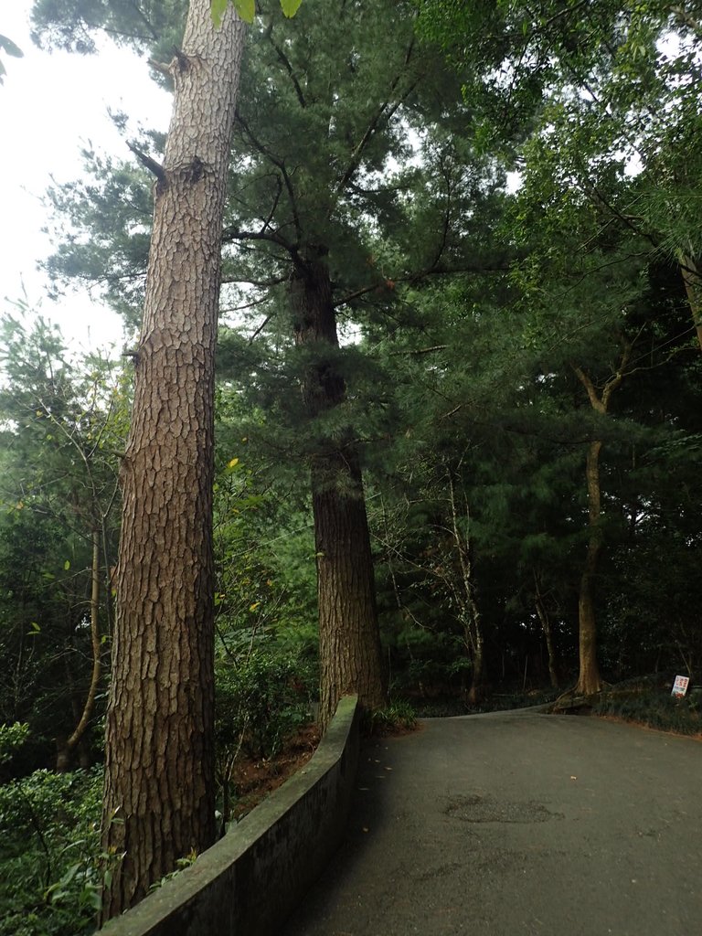 PA064681.JPG - 大湖  法雲禪寺  開拓紀念碑