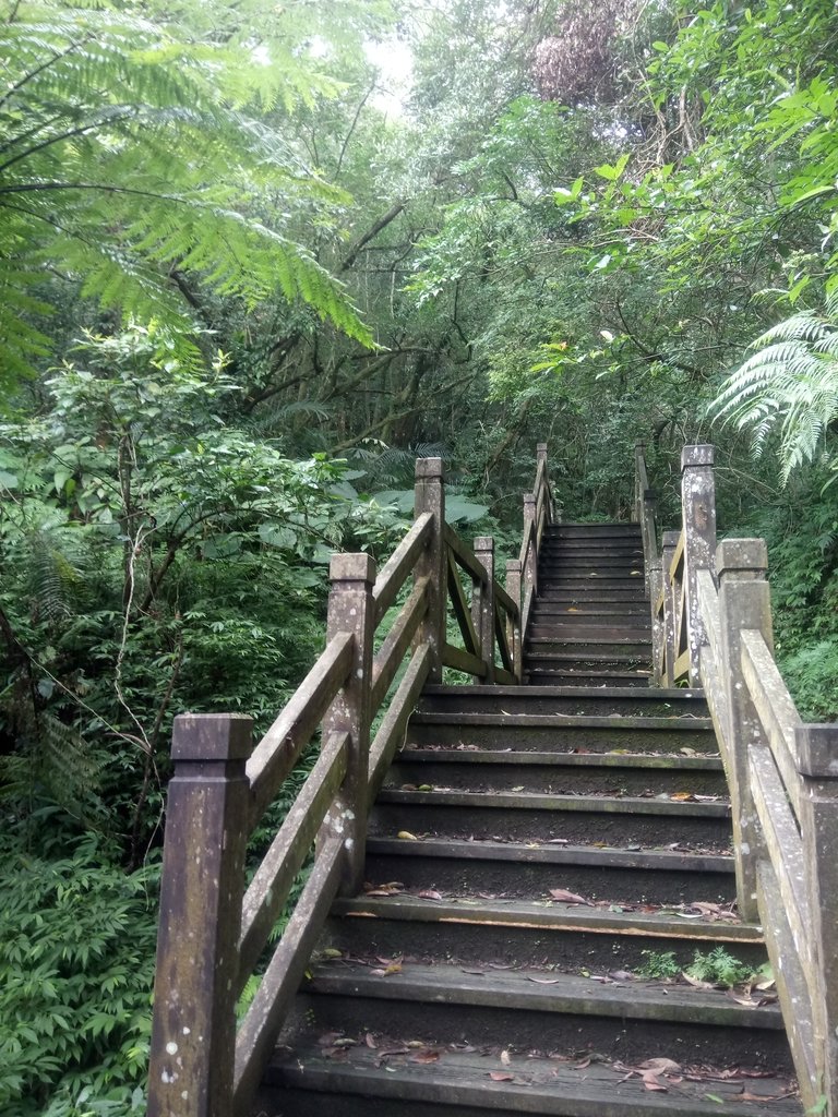 DSC_5991.JPG - 深坑  土庫岳登山步道  (01)