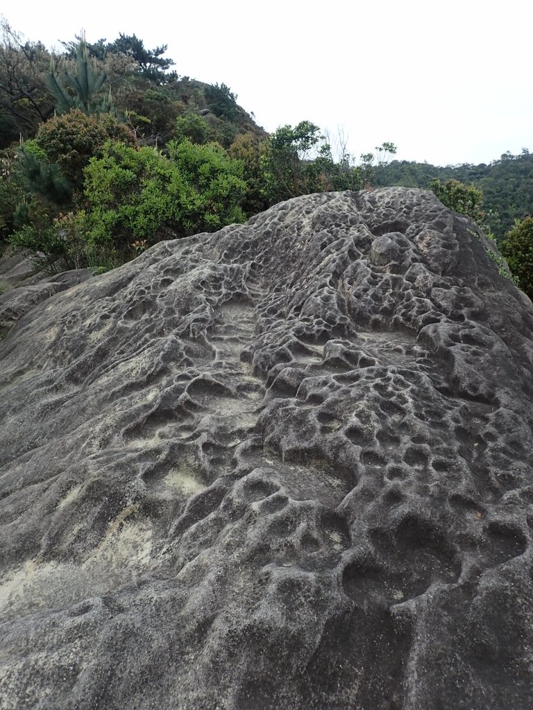 P3160059.JPG - 汐止  柯子林山  如意湖