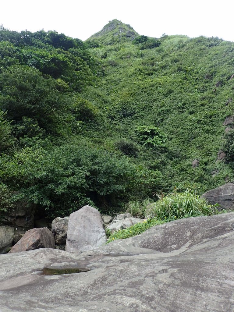 P8317627.JPG - 瑞芳  雷霆岩下之  溪谷風情