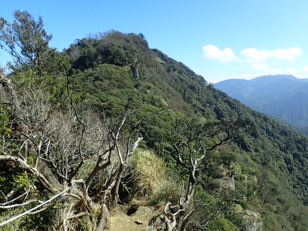 P2034815.JPG - 南庄  加里山