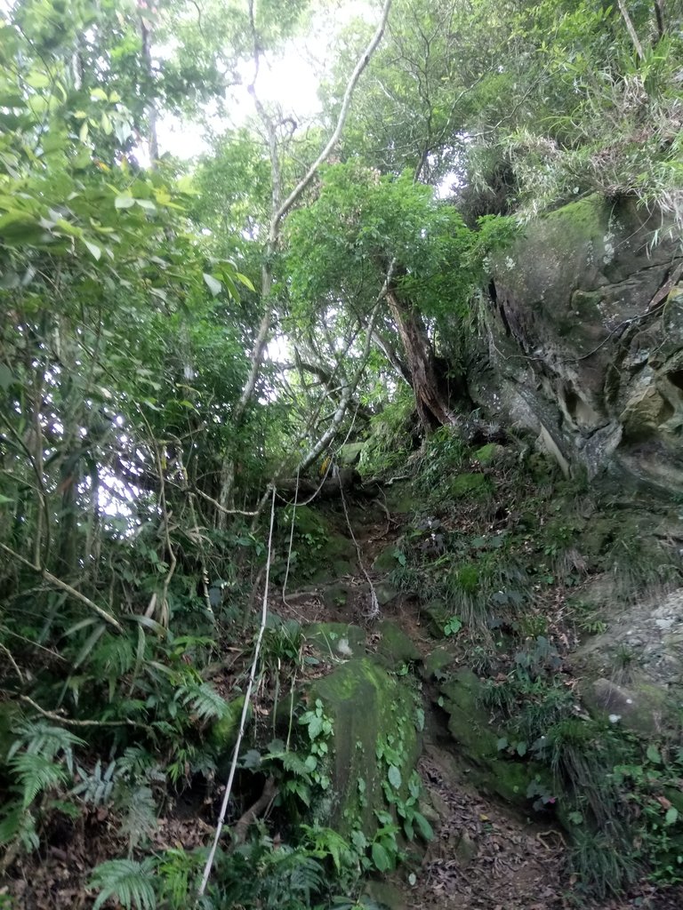 DSC_2553.JPG - 國姓  大橫屏山