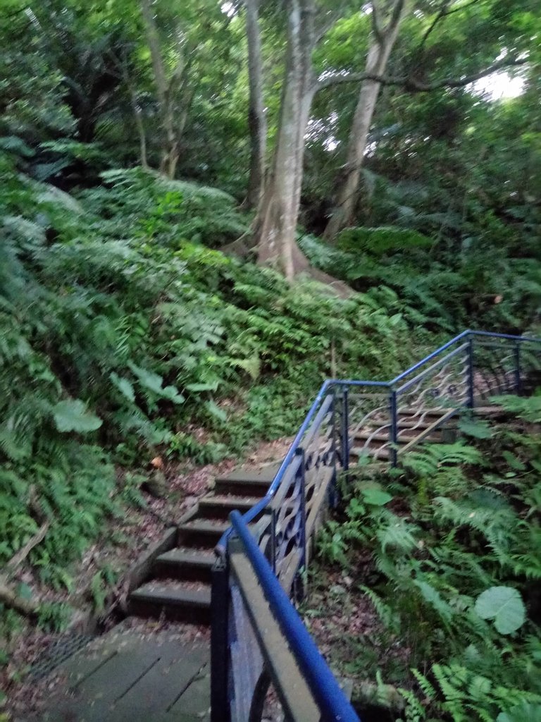 DSC_2059.JPG - 新店  碧潭  和美山登山步道