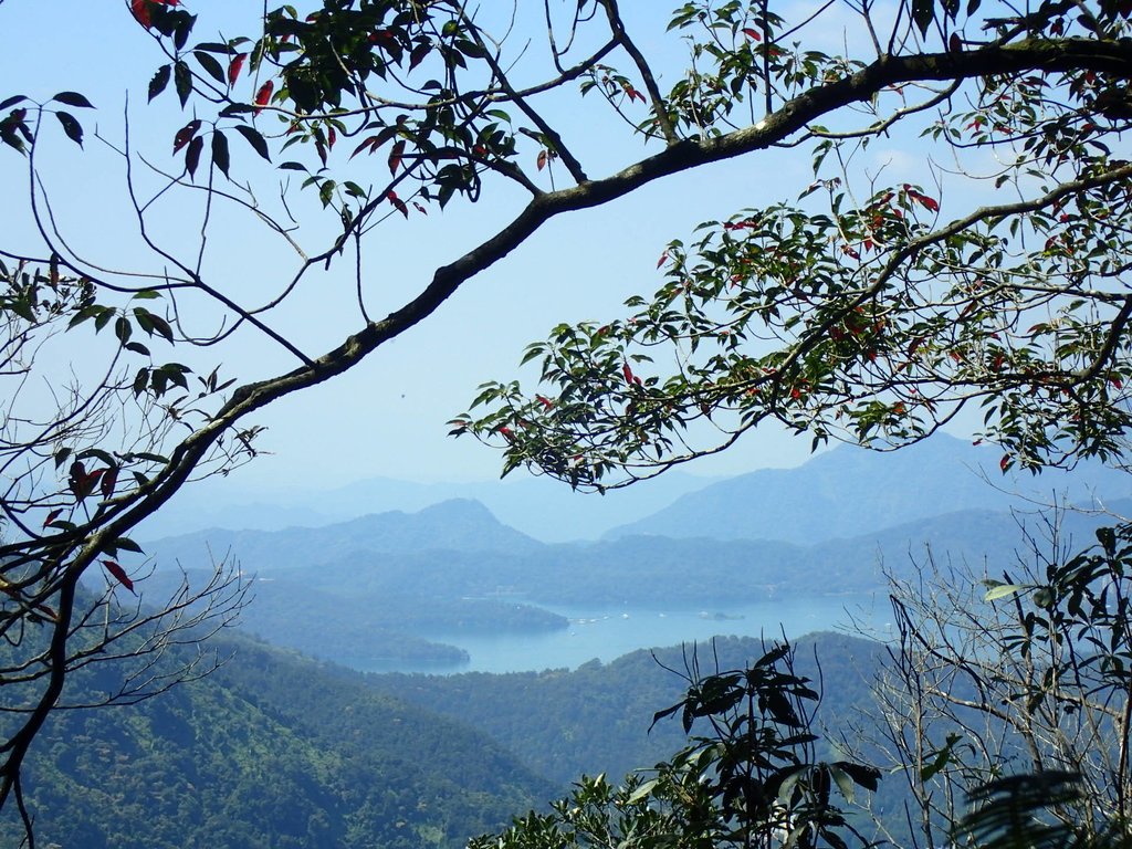 PA040409.JPG - 魚池  過坑山登山步道