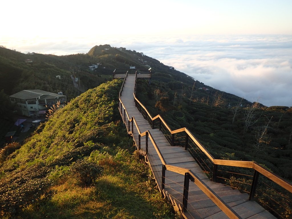 P1076416.JPG - 鹿谷  大崙山  觀霧亭之  暮光