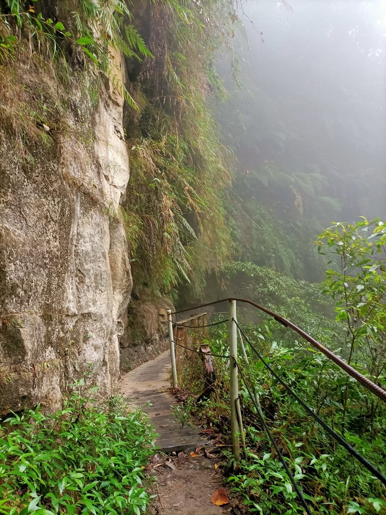 IMG20210108115837.jpg - 梅山  瑞峰村  竹坑溪步道