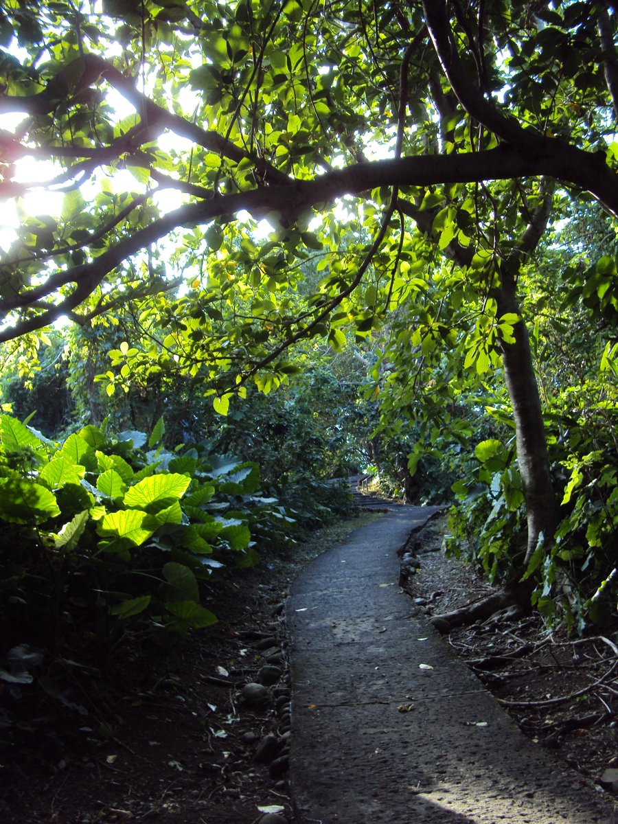 DSC01592.JPG - 小觀音山生態步道