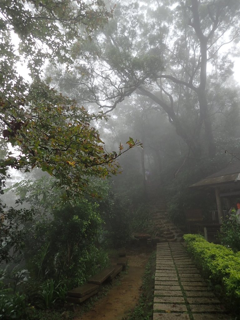 P1062056.JPG - 土城  天上山  登山步道