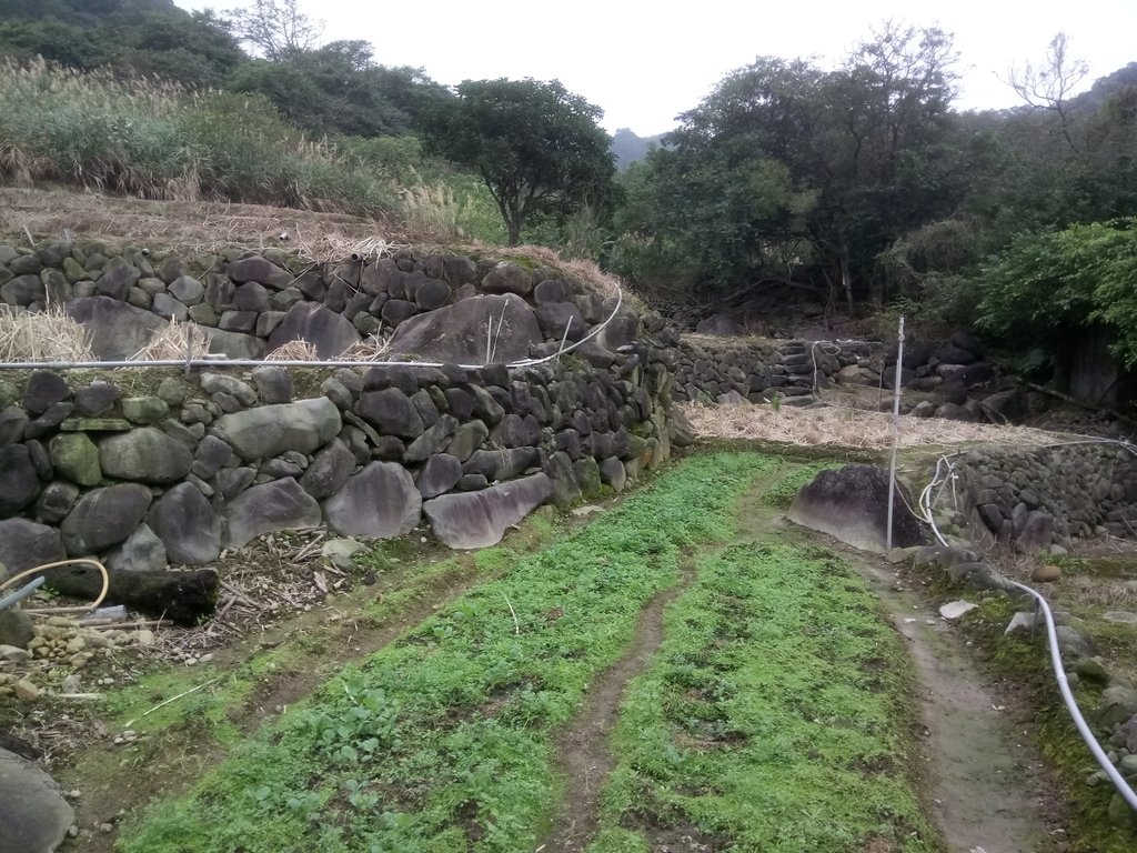 DSC_3355.JPG - 金山  大路崁古道