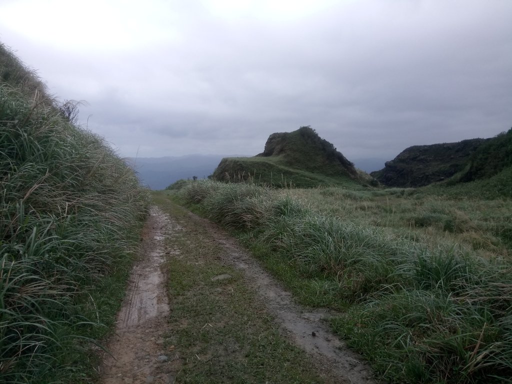 DSC_3540.JPG - 瑞芳  燦光寮古道初探