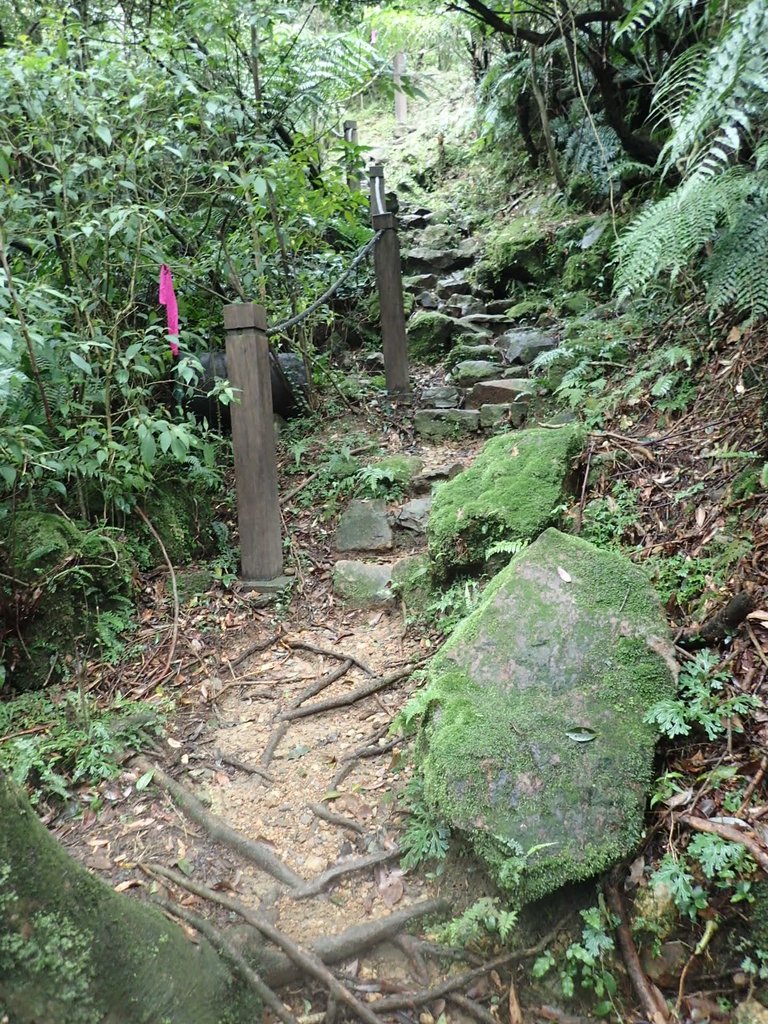 P1274358.JPG - 瑞芳  燦光寮古道初探