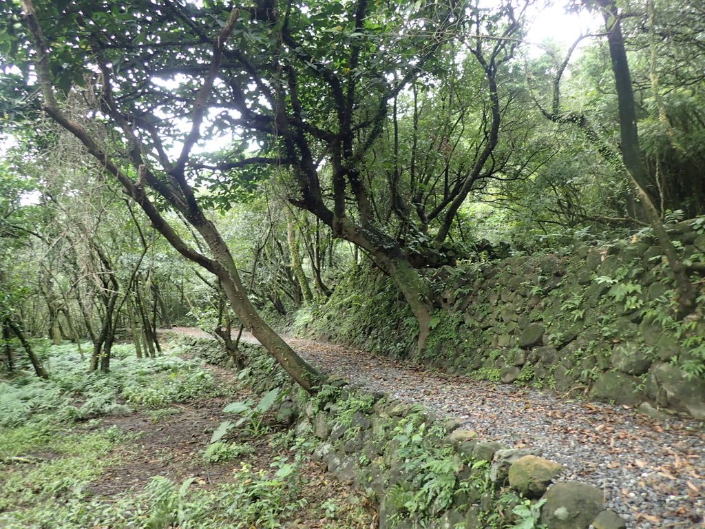 P1274445.JPG - 瑞芳  燦光寮古道初探