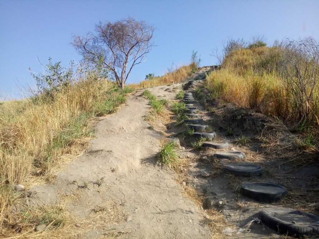 DSC_1800.JPG - 烏日  學田山登山步道