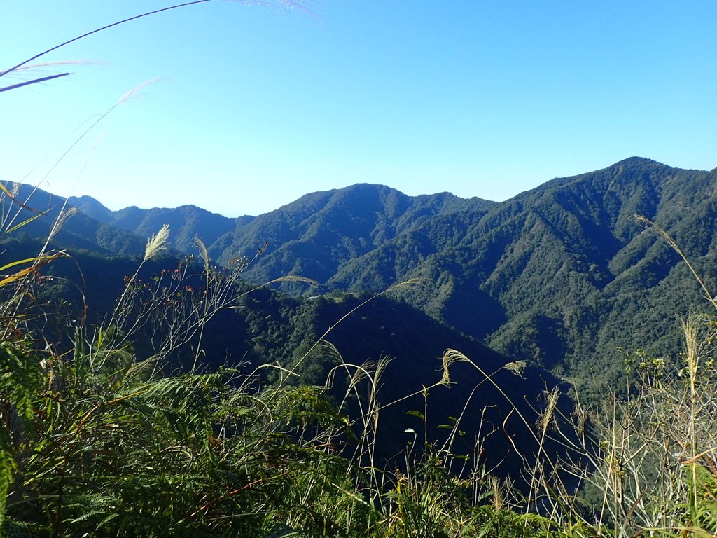 P2275875.JPG - 谷關七雄之  唐麻丹山