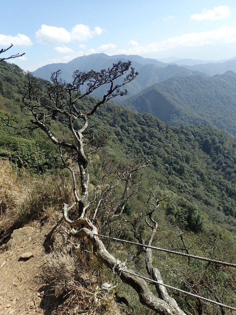 P2034823.JPG - 南庄  加里山