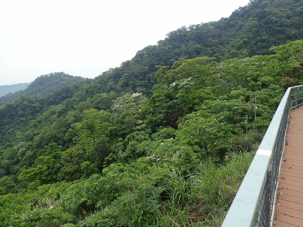 P4191877.JPG - 南庄  細湖頂  晴園山莊