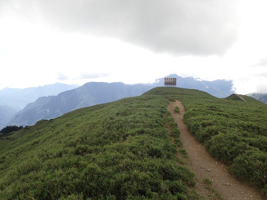 P7245983.JPG - 合歡山  北峰之美  (中)