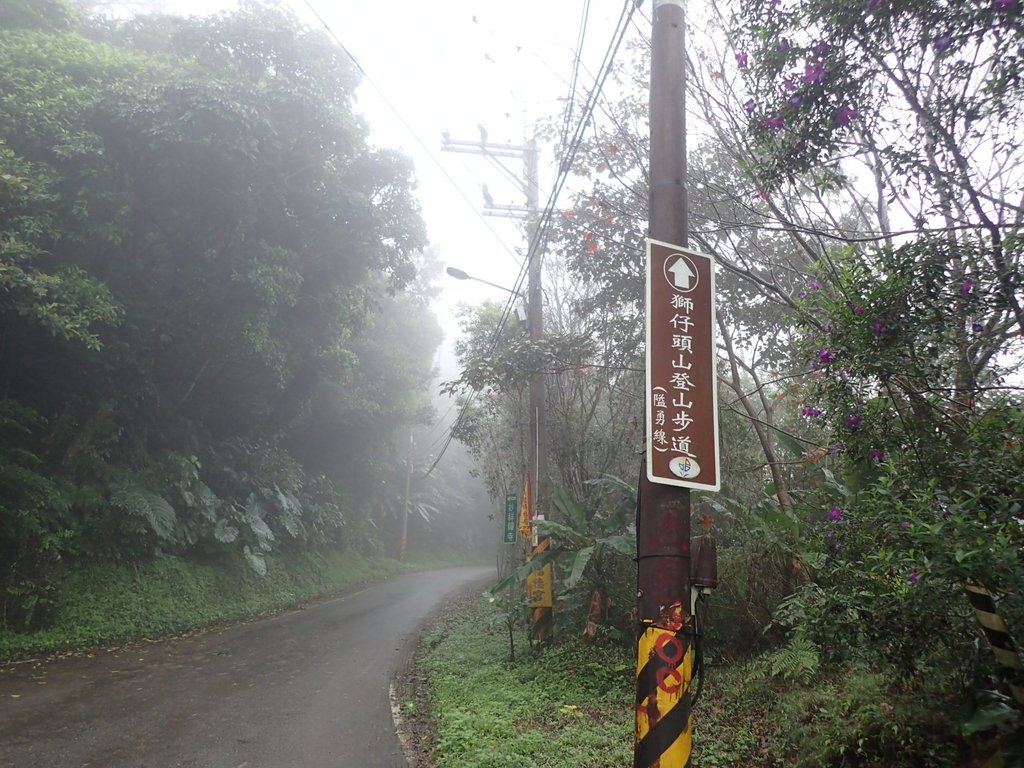 P1132731.JPG - 新店  獅子頭山隘勇線  01